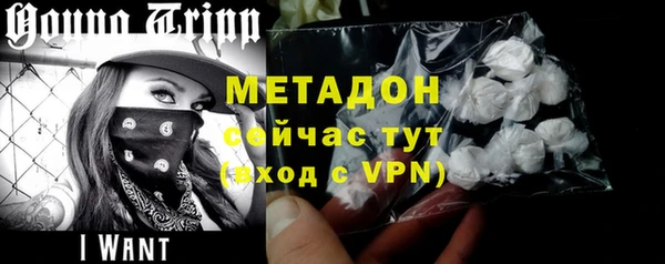 гидра Михайловка