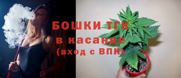 гидра Михайловка