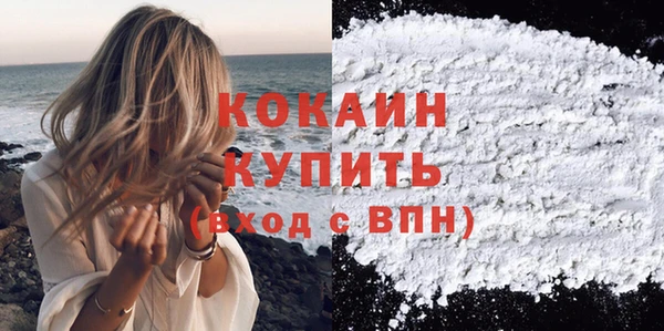 гидра Михайловка