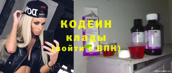 гидра Михайловка