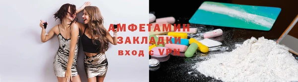 гидра Михайловка