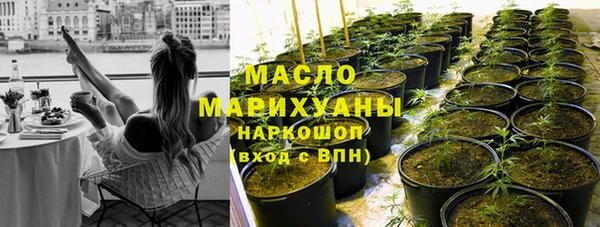 гидра Михайловка