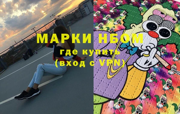 гидра Михайловка